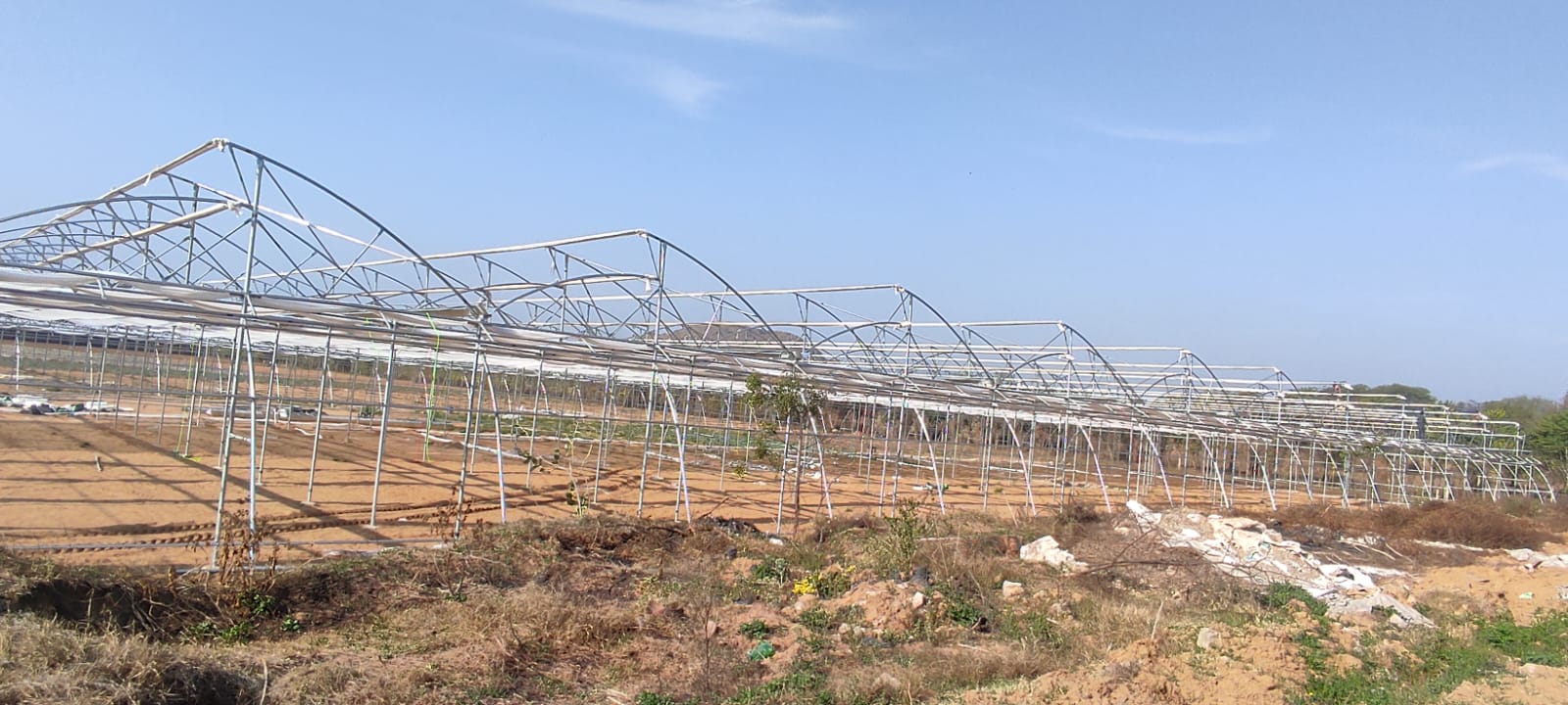 Greenhouse Project 43